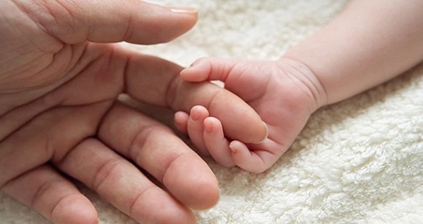 الضمان صدور نظام الحماية الاجتماعية المرتبط بتأمين الأمومة السبيل