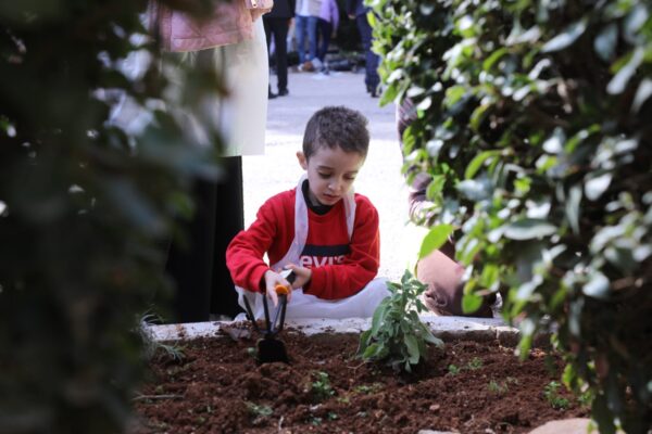 ثلاثون طفلا من محاربي السرطان يزرعون النباتات الطبية والعطرية في كلية عمون الجامعية التطبيقية