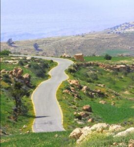 لواء بصيرا