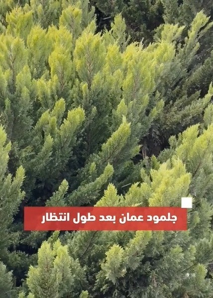 “جلمود” عمان بعد طول انتظار.. مشاهد لتساقط زخات خفيفة من الثلوج