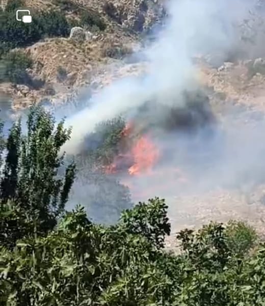 حريق يأتي على 15 دونما مزروعة بالأشجار الحرجية والمثمرة في دير مسمار