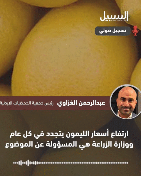 الغزاوي: ارتفاع أسعار الليمون يتجدد كل عام ووزارة الزراعة هي المسؤول
