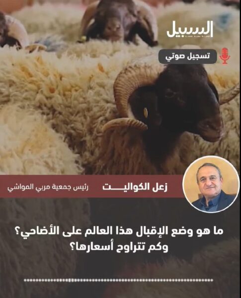 ما هو وضع الإقبال هذا العام على الأضاحي؟ وكم تتراوح أسعارها؟