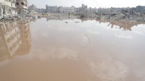بركة الشيخ رضوان