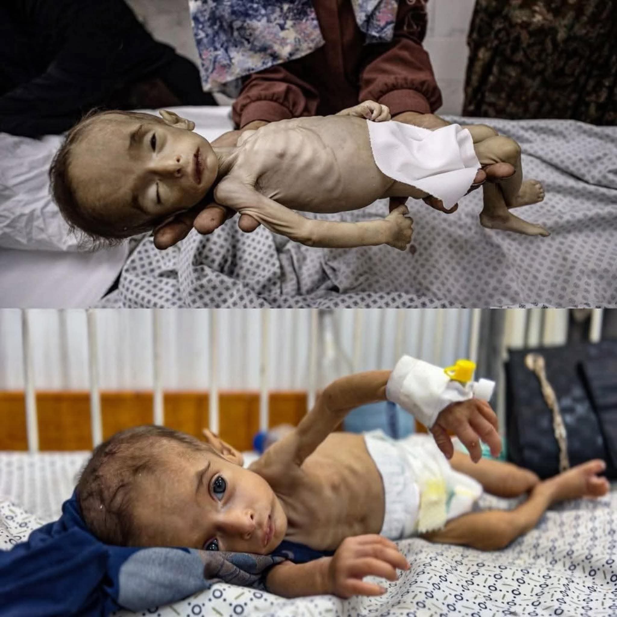 غزة