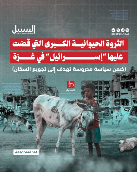 تعرف على الثروة الحيوانية الكبرى التي قضت عليها “إسرائيل” في غزة