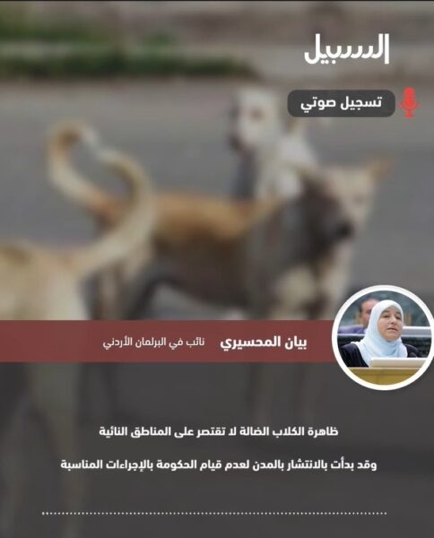 المحسيري: ظاهرة الكلاب الضالة بدأت بالانتشار بالمدن لعدم قيام الحكومة بالإجراءات المناسبة