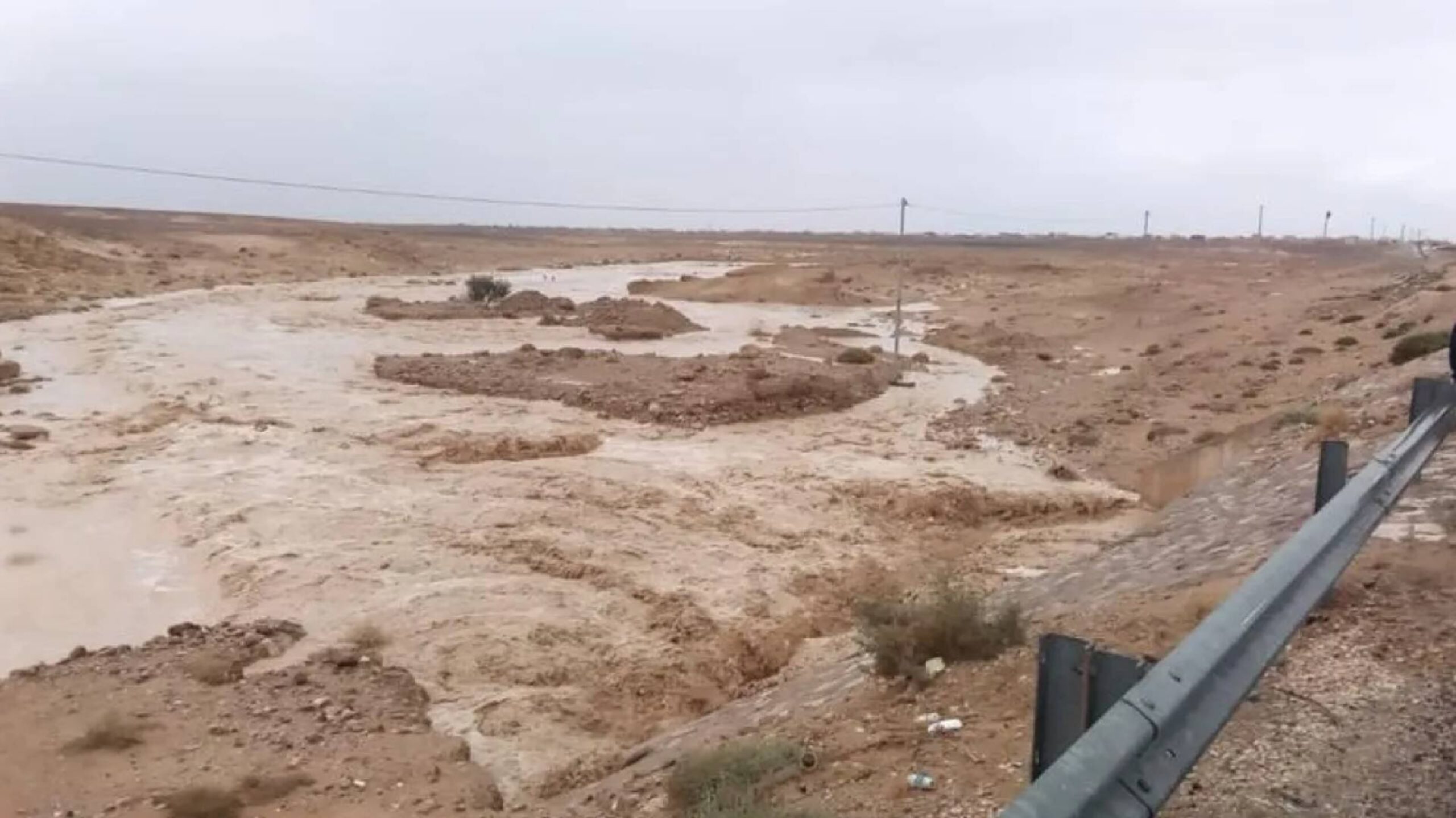 معان أمطار مطر