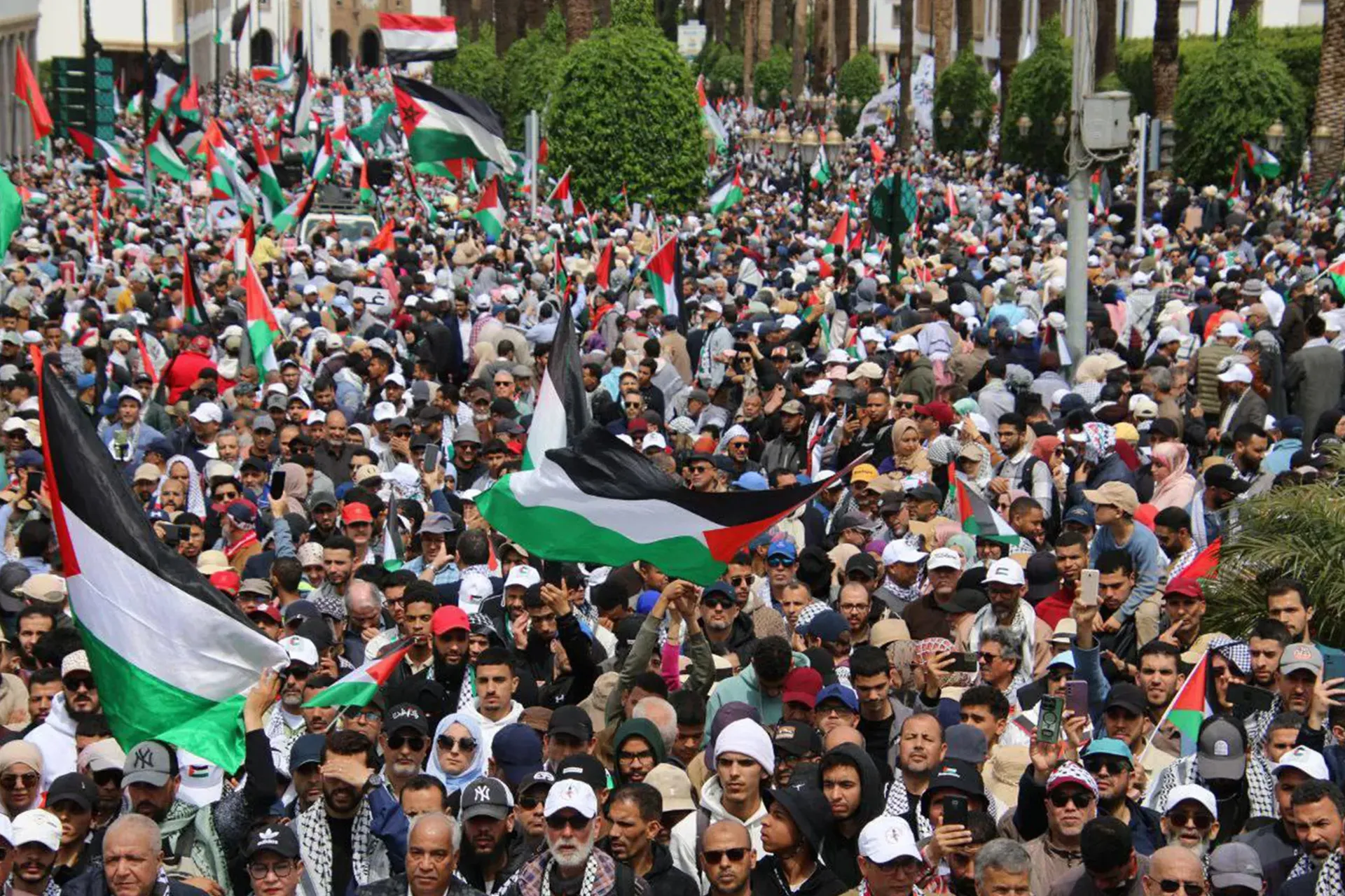 المغرب غزة