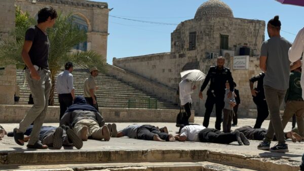 144 مستوطناً يقتحمون الأقصى ودعوات لاقتحام واسع بداية “الشهر العبري”