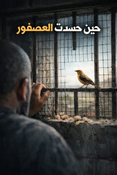 حين حسدت العصفور