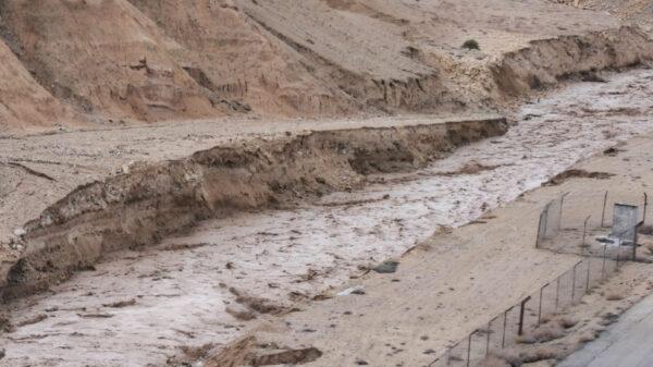 وفاة طفل سقط داخل مجرى سيل في الزعتري