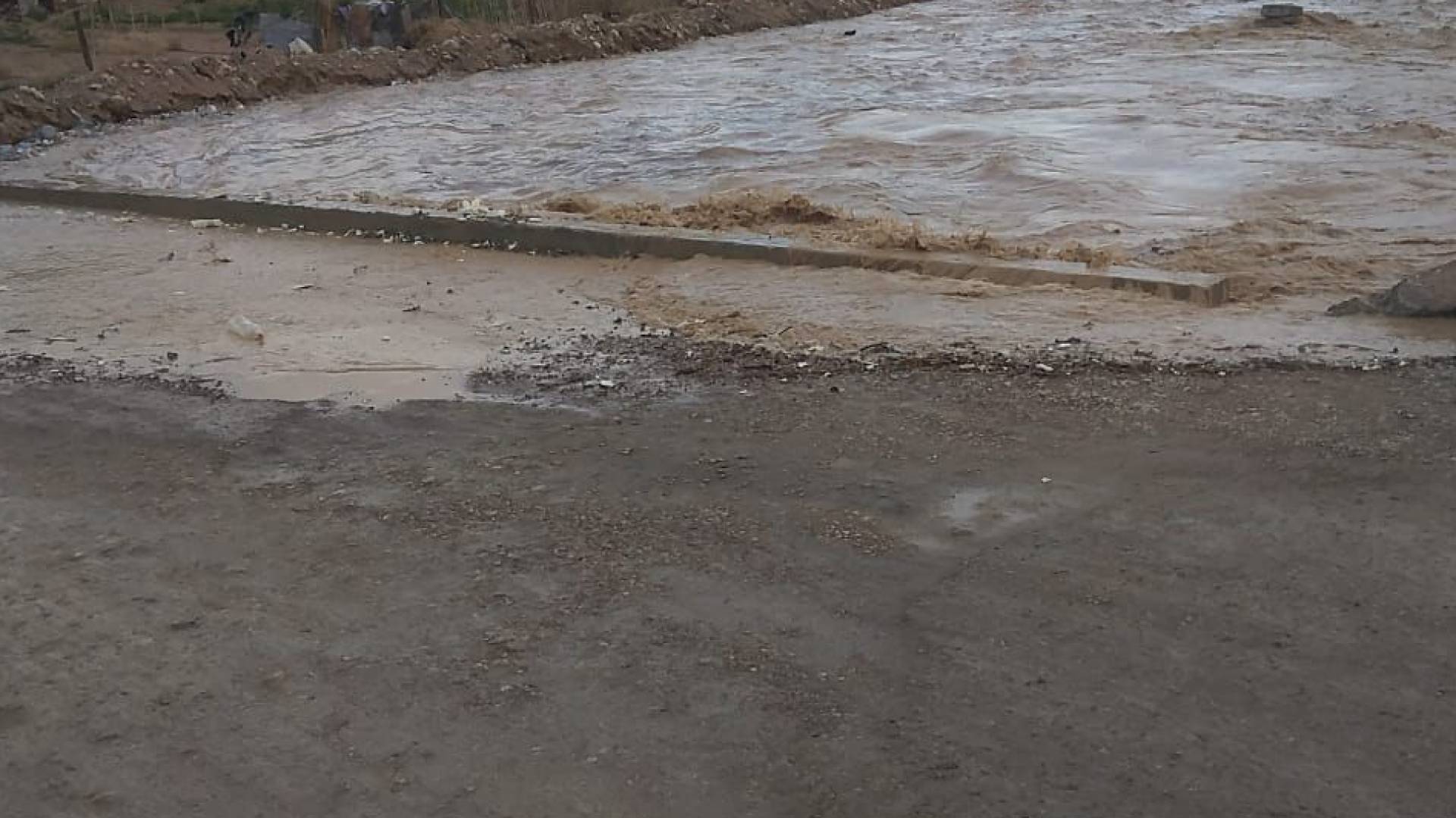 معان