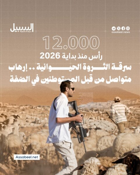 سرقة الثروة الحيوانية… إرهاب متواصل من قبل المستوطنين في الضفة