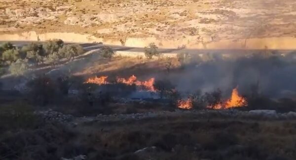 الاحتلال يحرق المحاصيل الزراعية في قرية “المغير” بالضفة