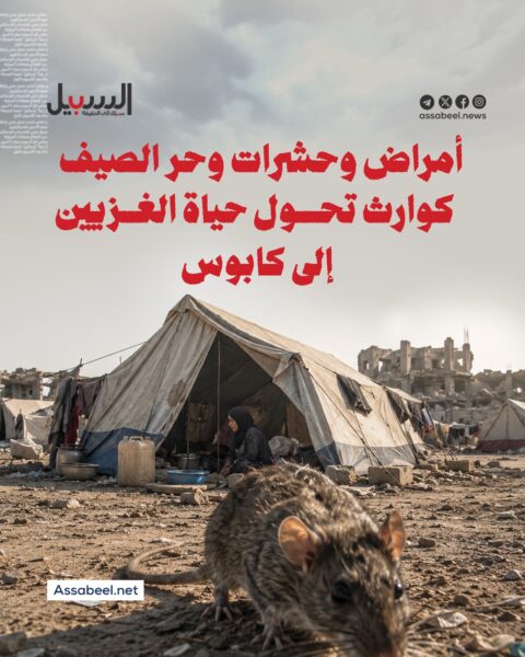 أمراض وحشرات وحر الصيف.. كوارث تحوّل حياة الغزيين إلى كابوس
