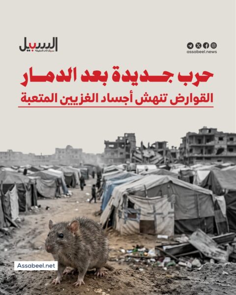 حرب جديدة بعد الدمار… القوارض تنهش أجساد الغزيين المتعبة