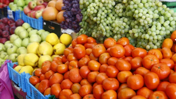 دعم حكومي لـ500 مزارع بأكثر من مليون دينار لتصدير الخضار والفواكه