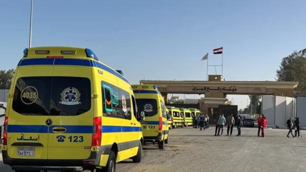 سفر 81 مريضًا ومرافقيهم عبر معبر رفح